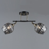 Люстра N4877/2 COF+FGD кофе+золото 2х60Вт E27 d530 h260 п/м