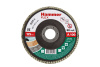 Круг лепестковый торцевой КЛТ1 125х22мм  Р60 тип 1 HAMMER Flex SE (213-025)
