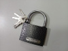 Замок навесной S-Locked BC01-75 5англ.кл. Compact (6шт) (К+) (коробка)