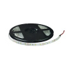 Лента св/д LS 50W-60/33 60LED 14.4Вт/м 12В IP33 белая