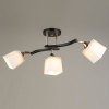 Люстра N5276/3 COFFEE+FGD кофе+золото 3х60Вт E27 d650 h230 QH22