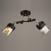 Люстра N3846/2 FGD+BK золото+черный 2x60Вт E27 d540 h240,