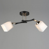 Люстра N5276/2 COFFEE+FGD кофе+золото 2х60Вт E27 d540 h230 QH22
