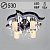 Люстра 5521/530/4+1 CR хром 4х40Вт Е14+1х35Вт MR11 ПДУ LED RBP d530 SDA18