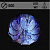 Люстра 5965/500 CR хром 5х40Вт E14 LED WT ПДУ d500 SDA19